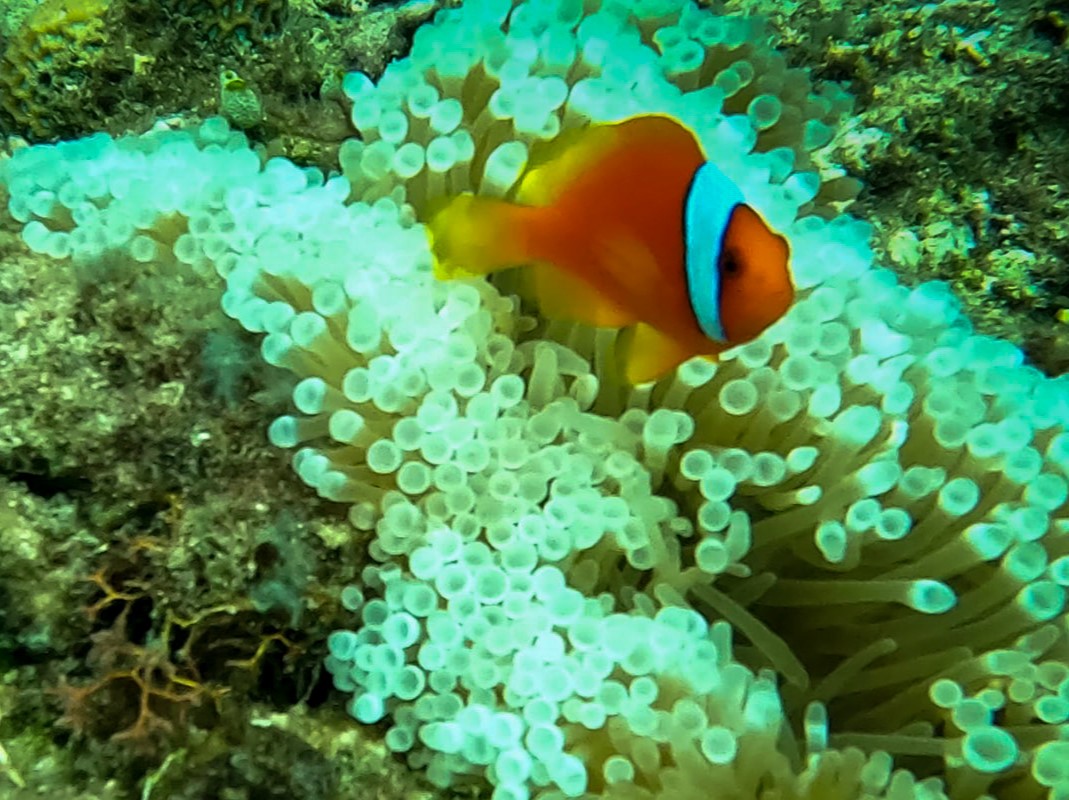 The Sea: Above and Under