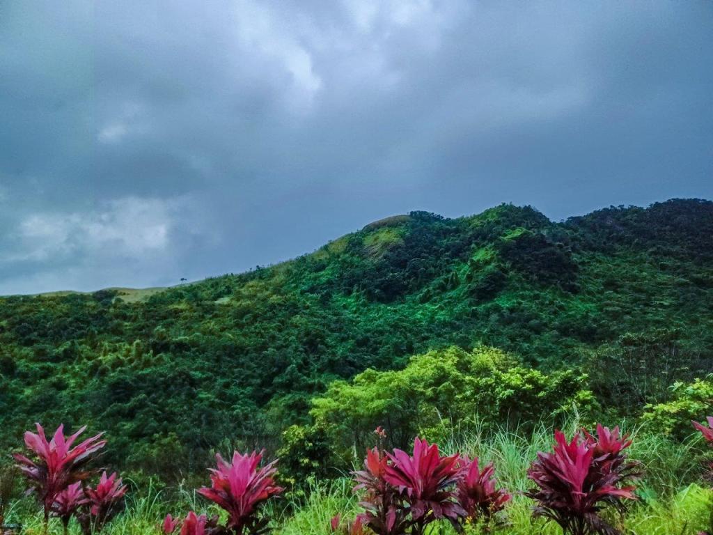 The Dawn Break that Never&nbsp;Came