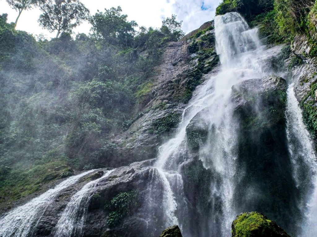 His Thunderous Majesty