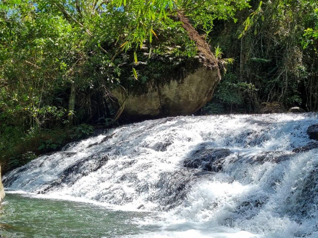 A Rather Comfy&nbsp;Seat