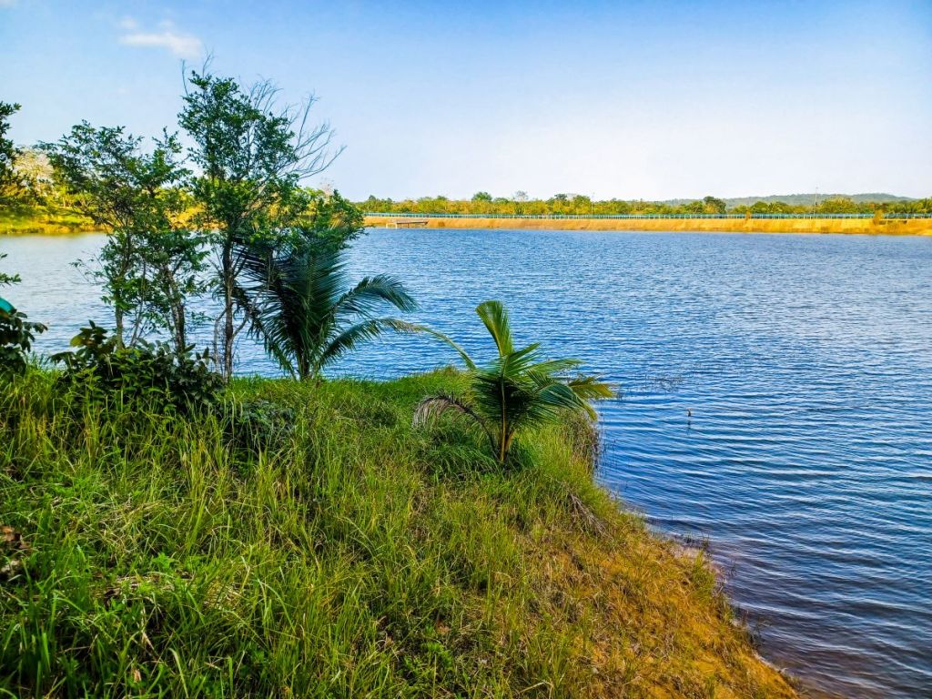 Islet on a&nbsp;Lake