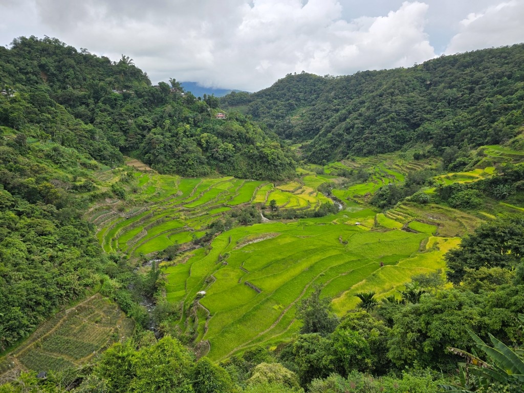 Destiny in Antiquity