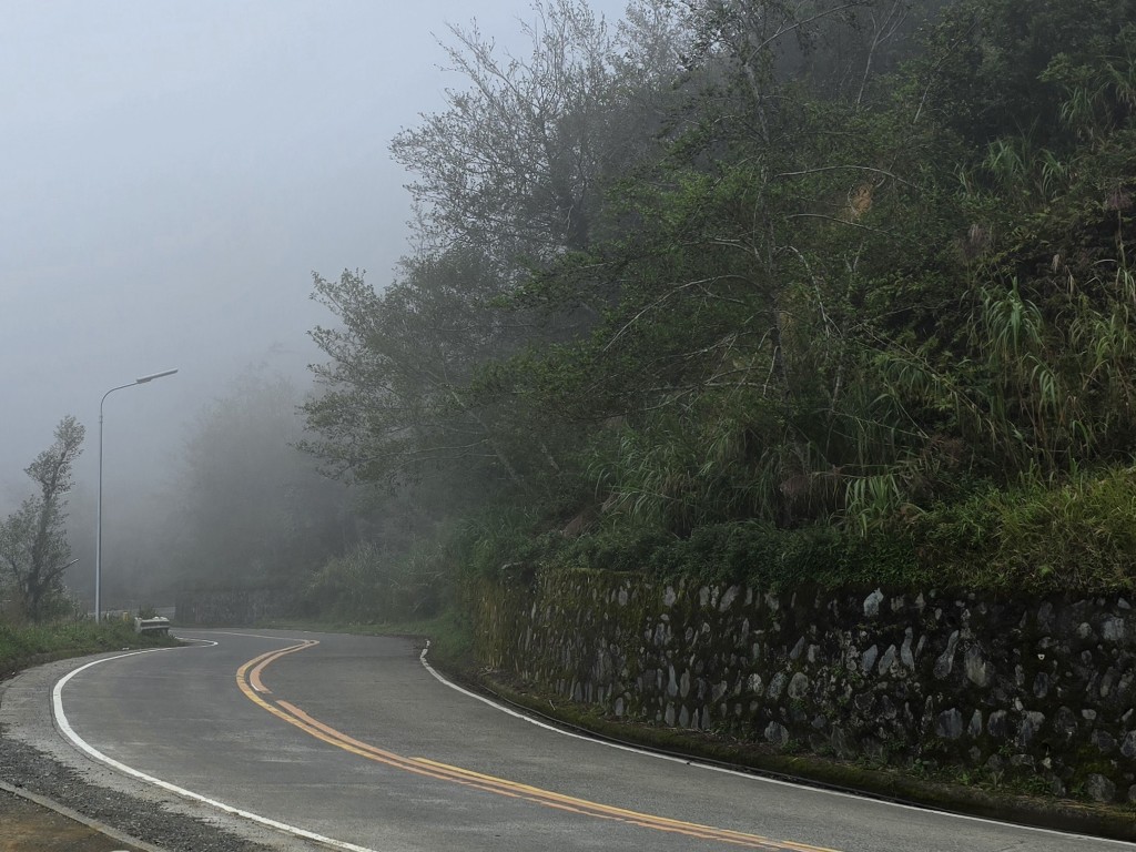 Twists in the&nbsp;Mist