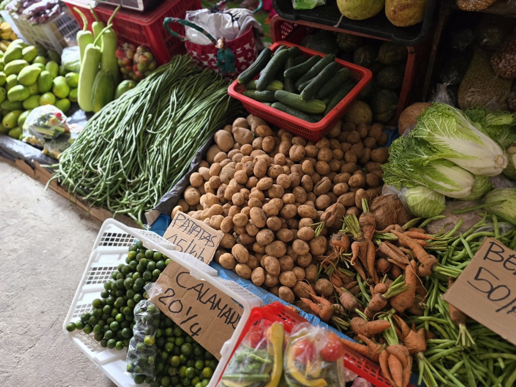 Fruits of Terraced Earth